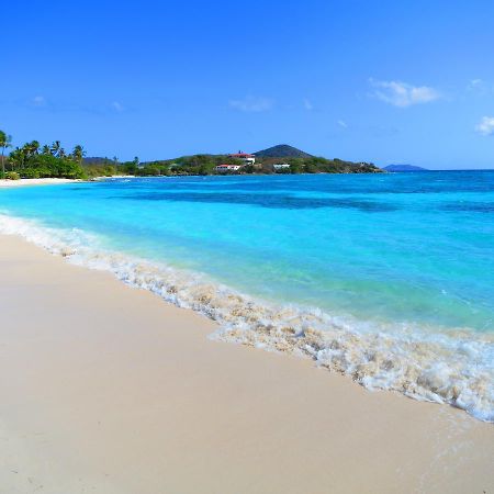 2Br Luxury Beachfront Duplex Villa On Sapphire Beach III East End  Esterno foto