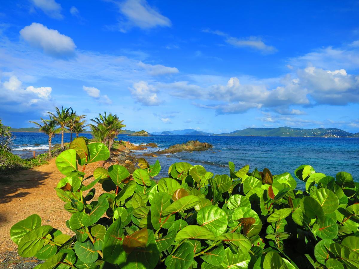 2Br Luxury Beachfront Duplex Villa On Sapphire Beach III East End  Esterno foto