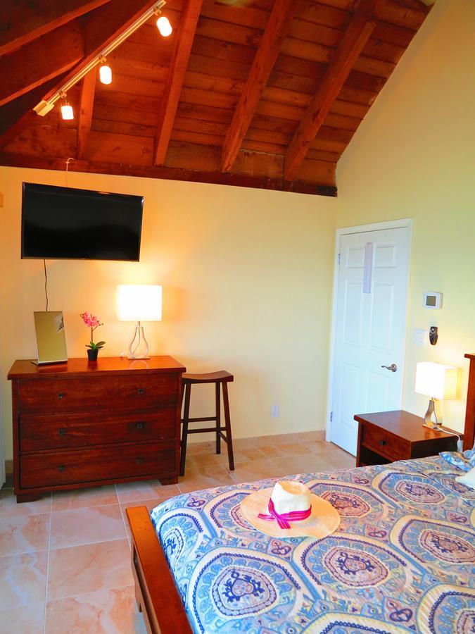 2Br Luxury Beachfront Duplex Villa On Sapphire Beach III East End  Esterno foto
