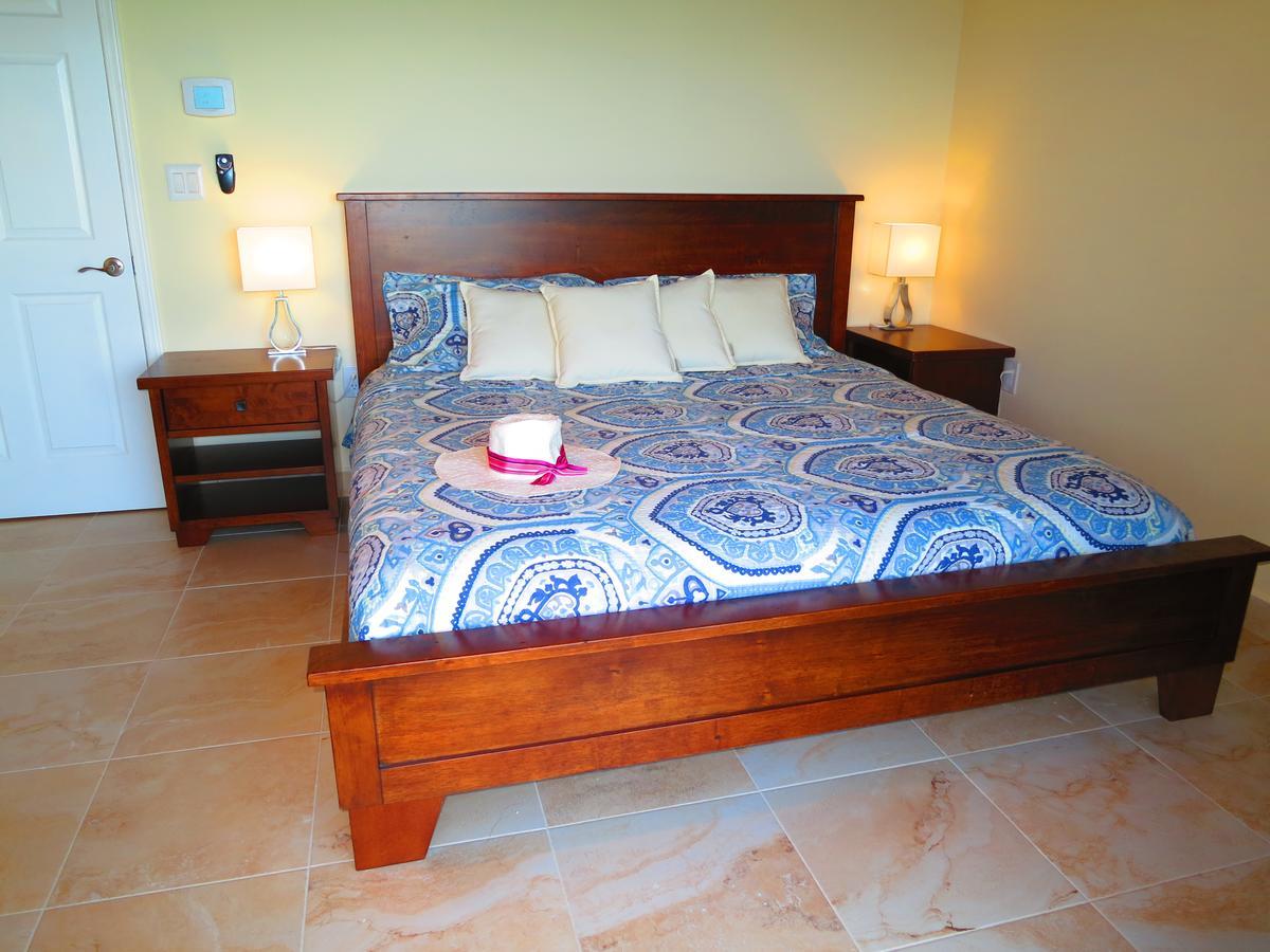 2Br Luxury Beachfront Duplex Villa On Sapphire Beach III East End  Esterno foto